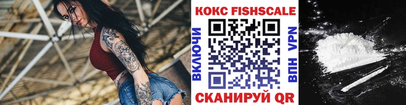 Cocaine FishScale  Купить закладки  Тавда 