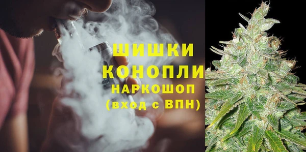ГАЛЛЮЦИНОГЕННЫЕ ГРИБЫ Арсеньев