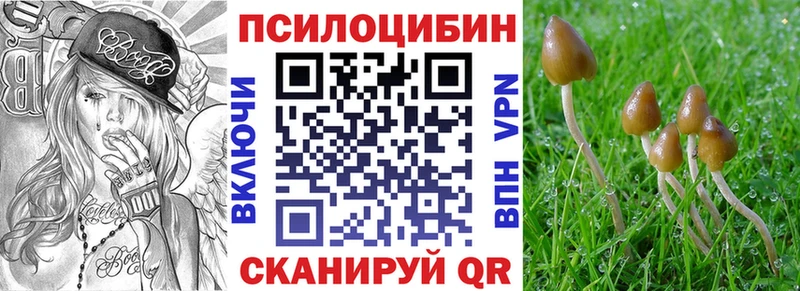 Купить где  Тавда  Псилоцибиновые грибы мухоморы 