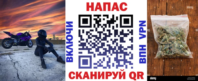 Конопля OG Kush  Купить закладки  Тавда 